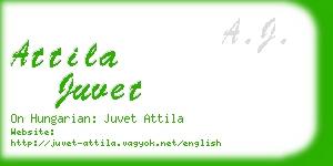 attila juvet business card